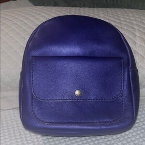 Amethyst Mini zip backpack Portland Leather plg